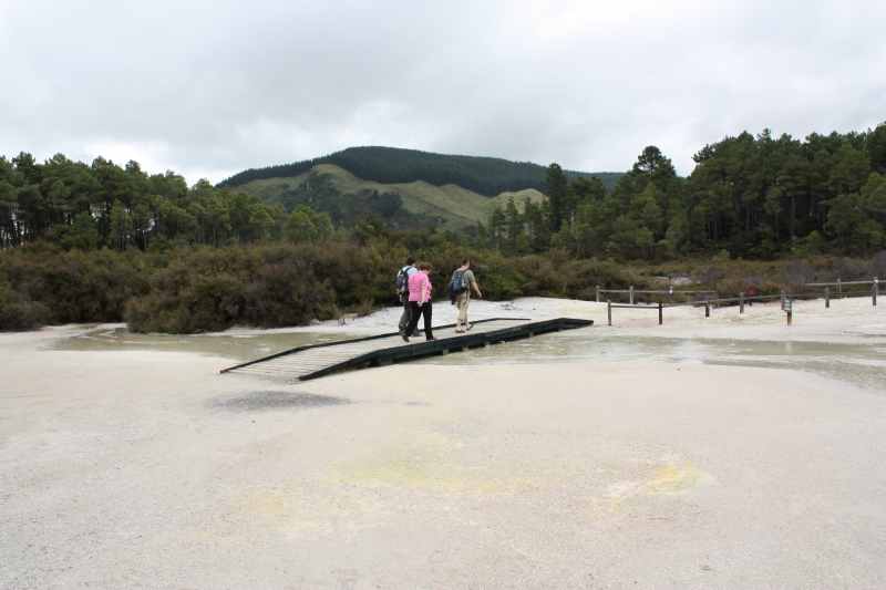 Nieuw-Zeeland 2011 - 0785